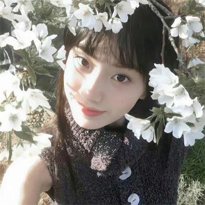 丛林游戏